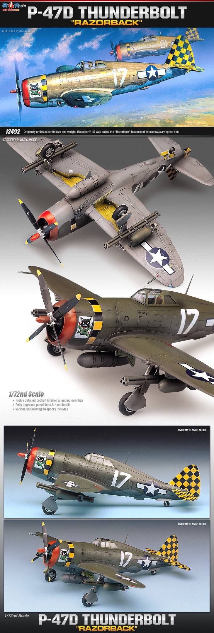  ս AM12492 P-47D THUNDERBOLT [RAZOR-BACK]-