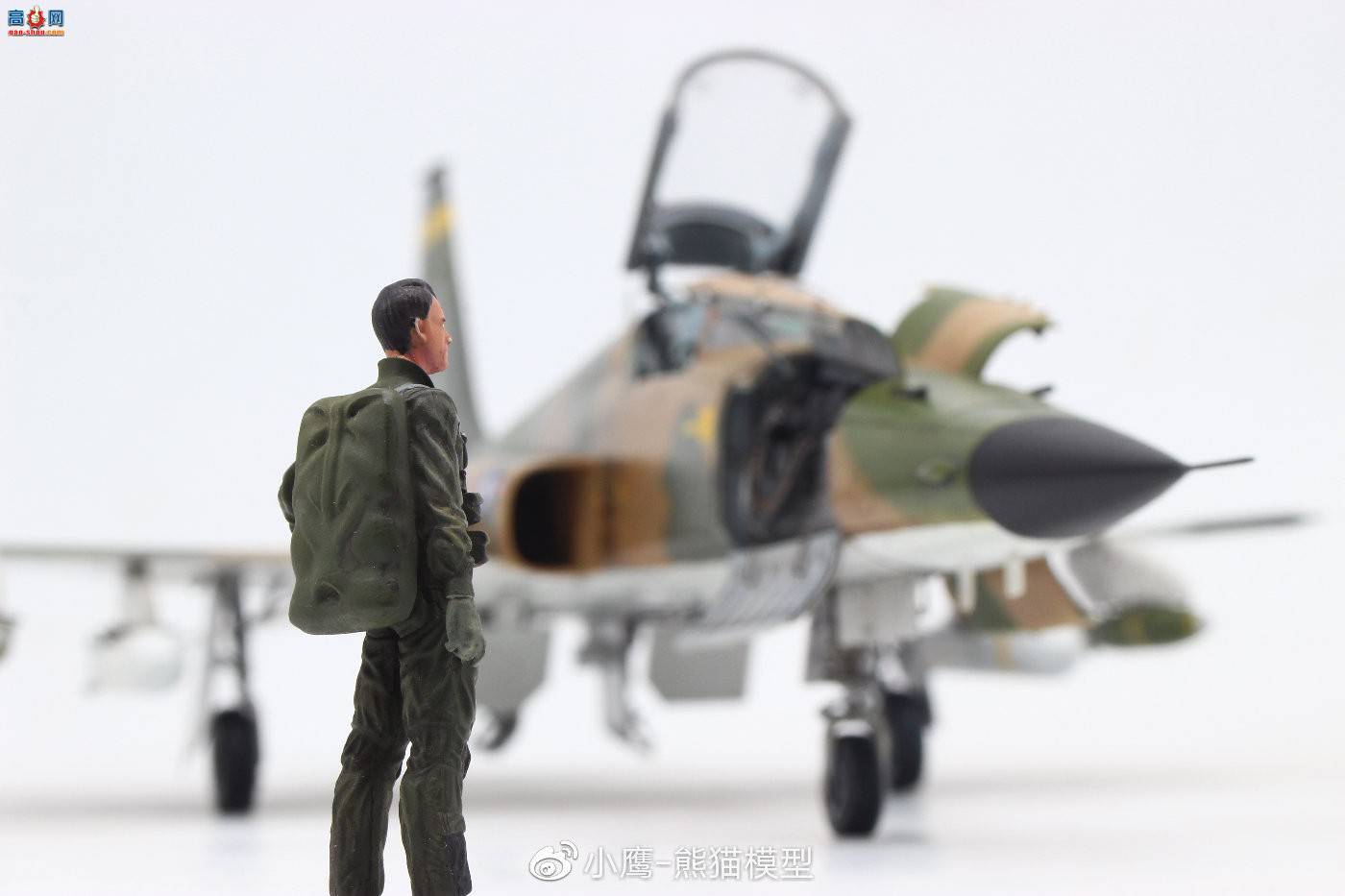 ��Сӥģ����Ʒ��Kitty Hawk 1/32 F-5