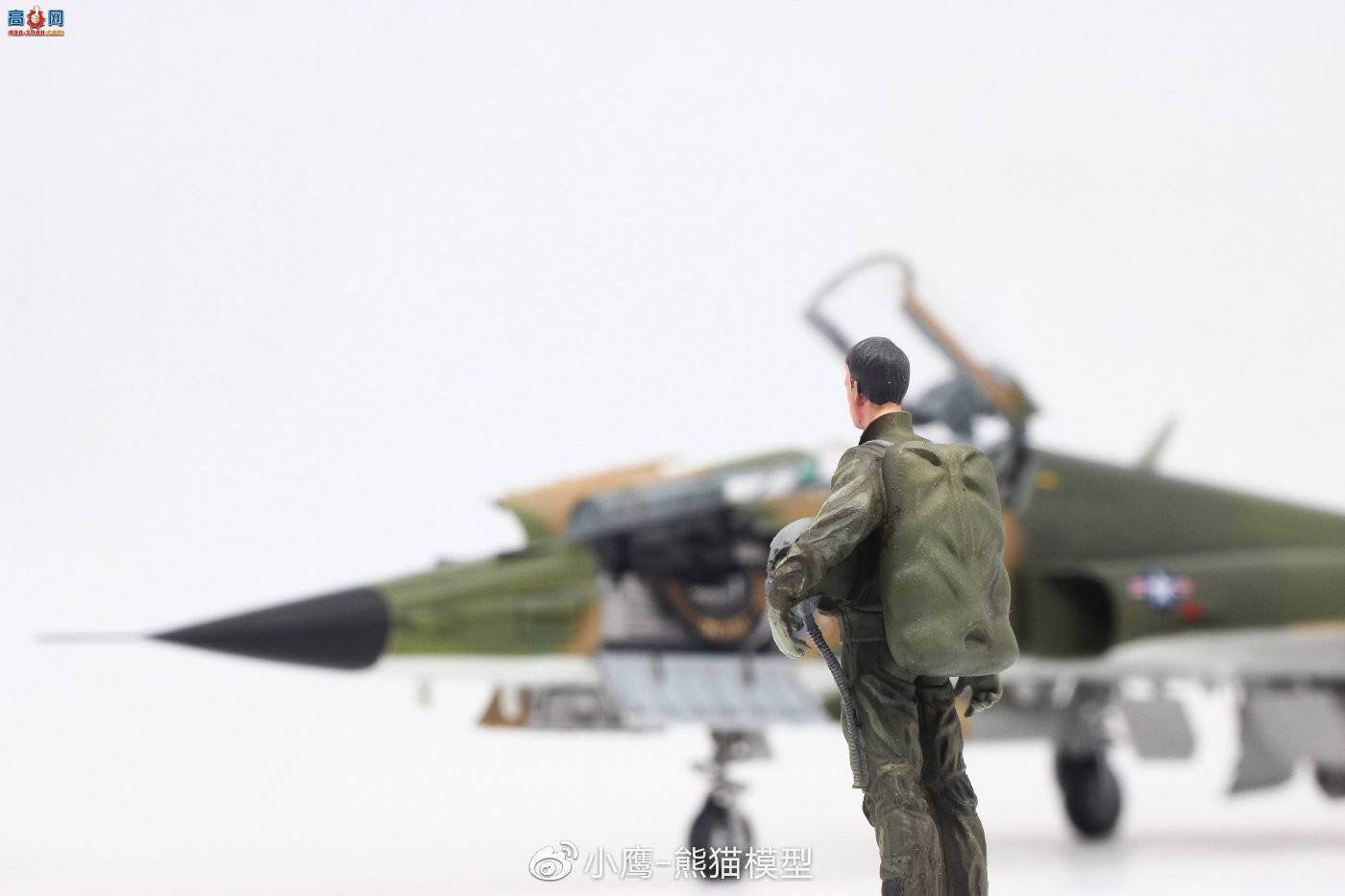 ��Сӥģ����Ʒ��Kitty Hawk 1/32 F-5
