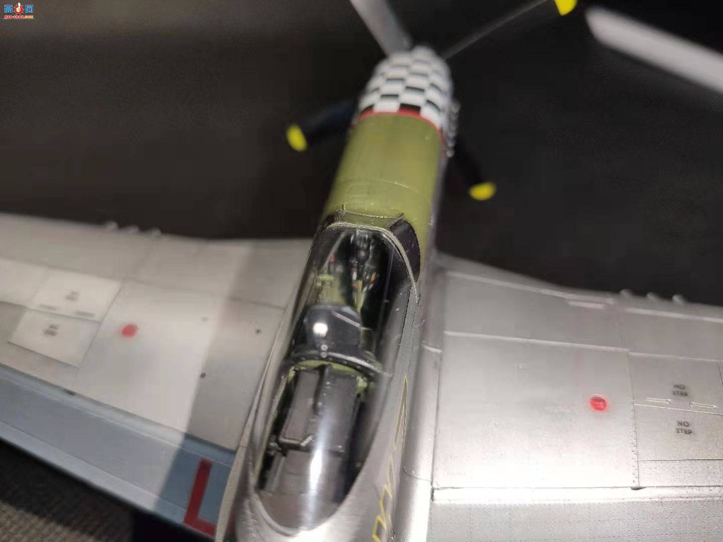 Խģ͹Ʒţħ 48 P-51ս