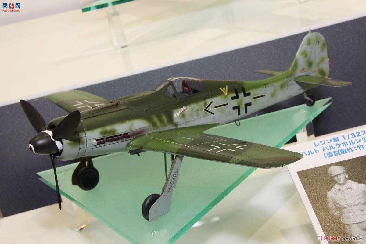 ȴ ս 08251 -ֶ Fw190D-9 Bulkhorn