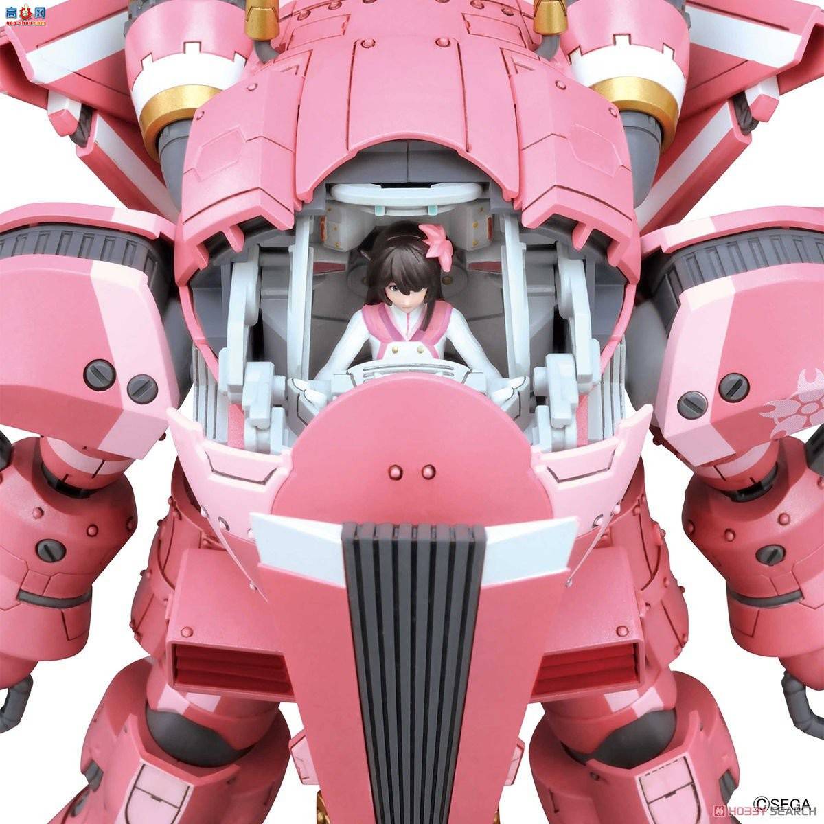  ӣս HG 1/24 2515523 ս ӣ䣨깬ӣ