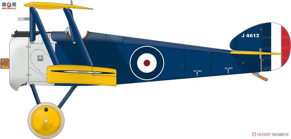 ţħ ս 11151 Camel &amp; Co.˹˫