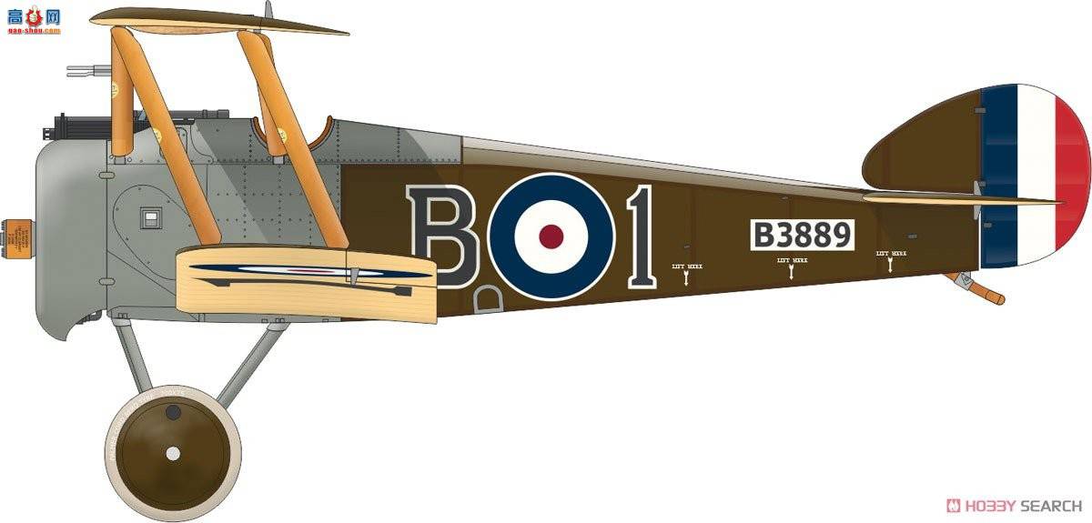 ţħ ս 11151 Camel &amp; Co.˹˫