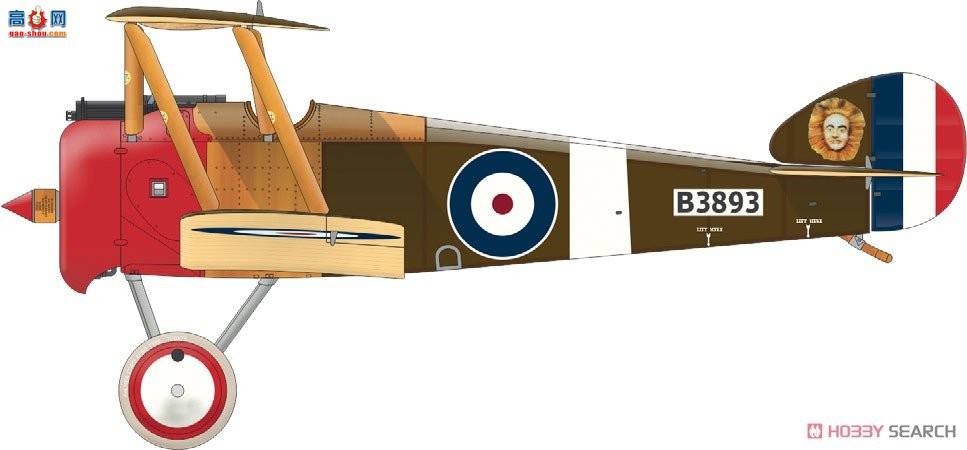 ţħ ս 11151 Camel &amp; Co.˹˫