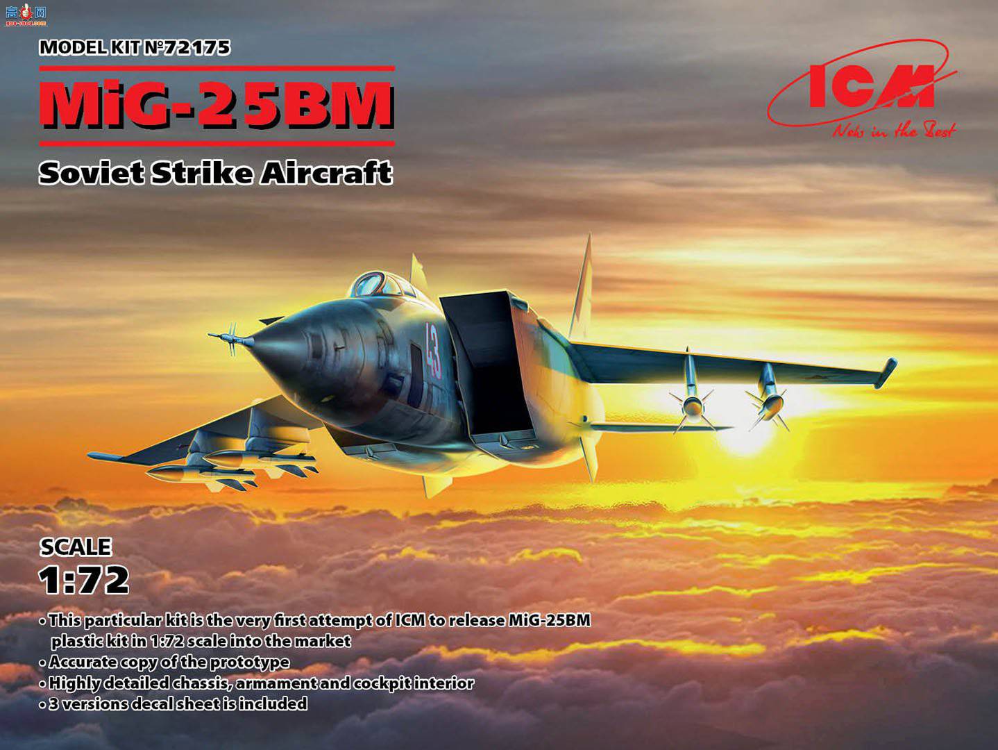 ICM 72175  ׸-25 BM