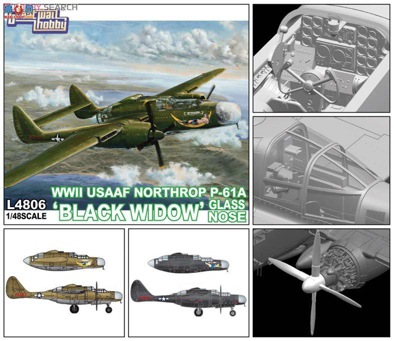  ս L4806 ս½P-61AڹѸ