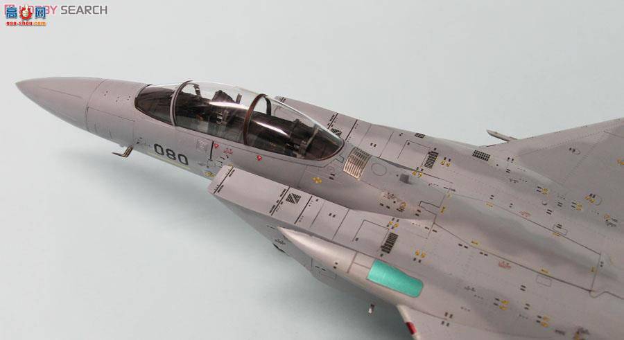 ս SNG01 F-15DJ