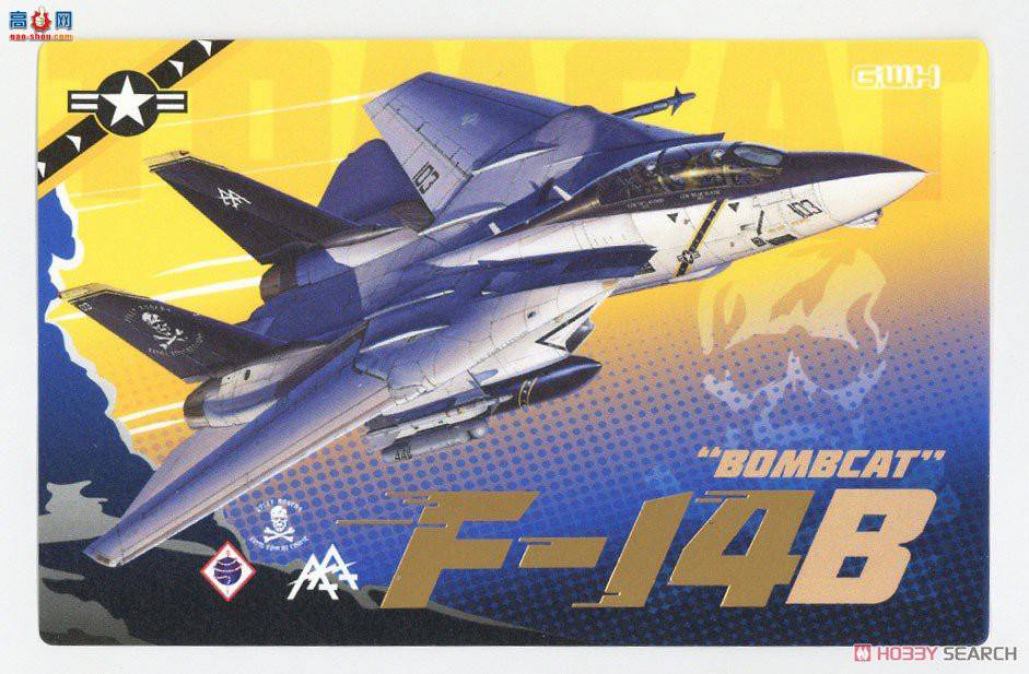���� ս���� L7208 F-14B��ը��è������ս����
