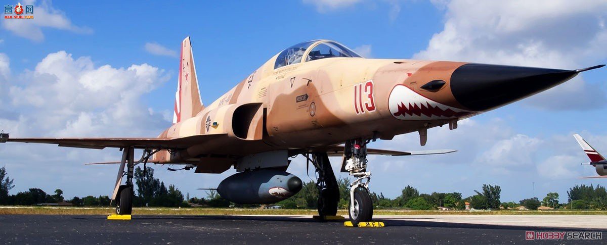 ģ ս DM720013 F-5E