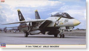 ���ȴ� ս���� 00364 F-14A ��è�����޽�˹