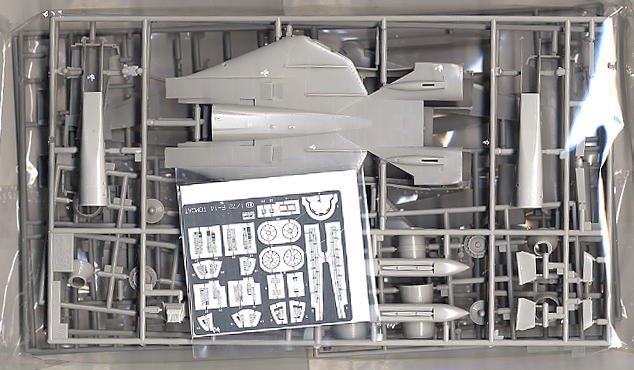 ���ȴ� ս���� 00364 F-14A ��è�����޽�˹