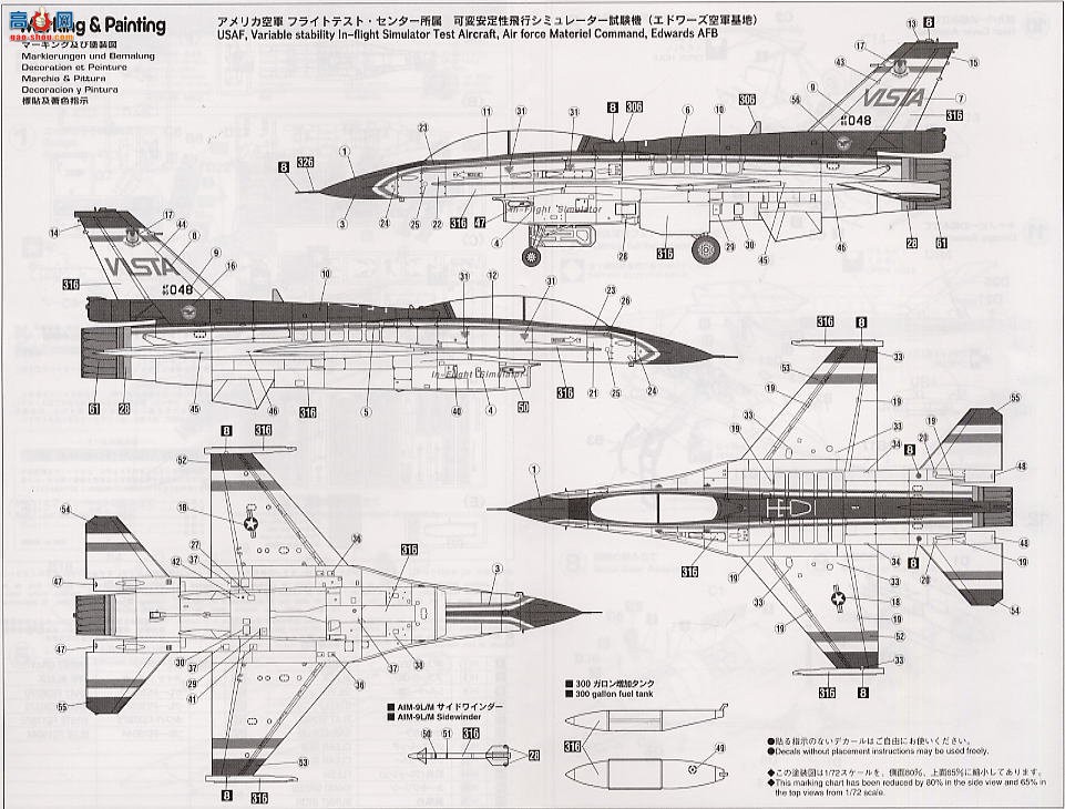 ȴ ս 00358 F-16D սVISTA