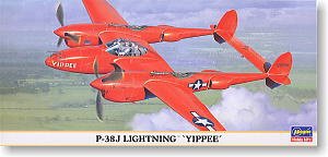 ȴ ս 00395 P-38J YIPPEE