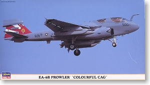 ȴ ս 00828 EA-6B ǻ߲ɫ CAG