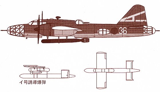 ȴ ը 00951  Ki-67 4ͺը61жӡ