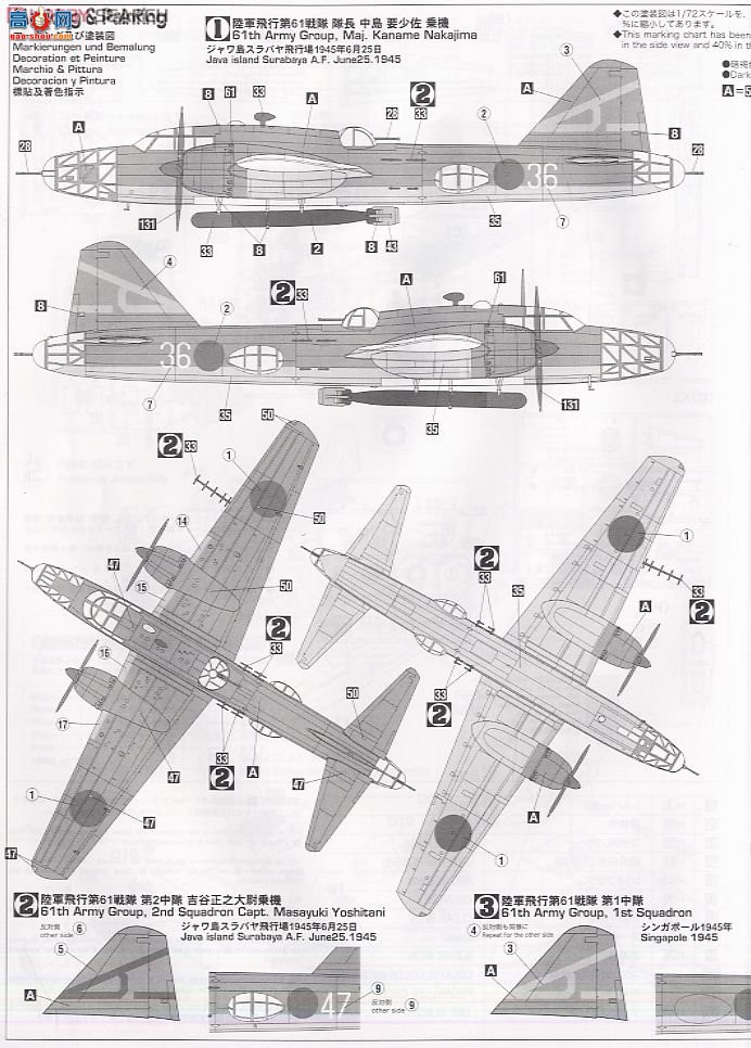 ȴ ը 00951  Ki-67 4ͺը61жӡ