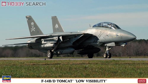 ���ȴ� ս���� 01945 F-14B/D��ķè`�ͷ���`