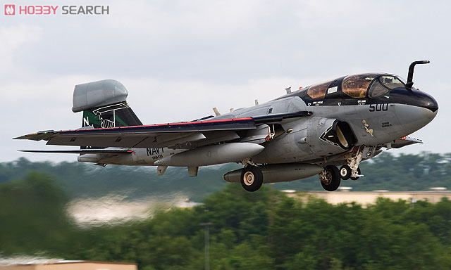 ȴ սɻ 01981 EA-6B ǻ `VAQ-135 ѻ2010`