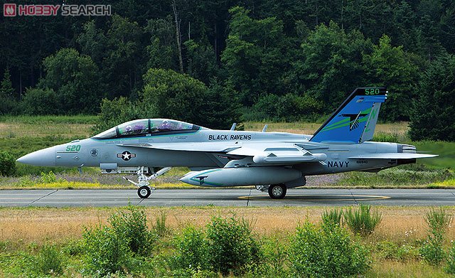 ȴ ս 02000 EA-18G `VAQ-135 ѻ`