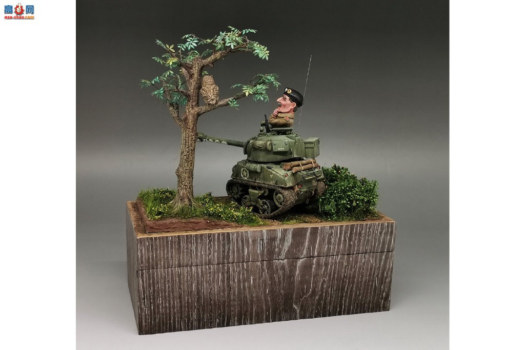 ��MENG����������ͨ�ھ�  ���ǹ�����