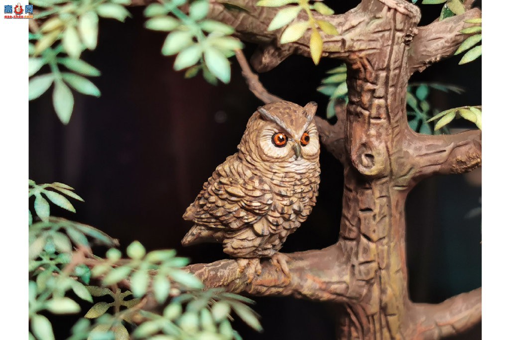 ��MENG����������ͨ�ھ�  ���ǹ�����