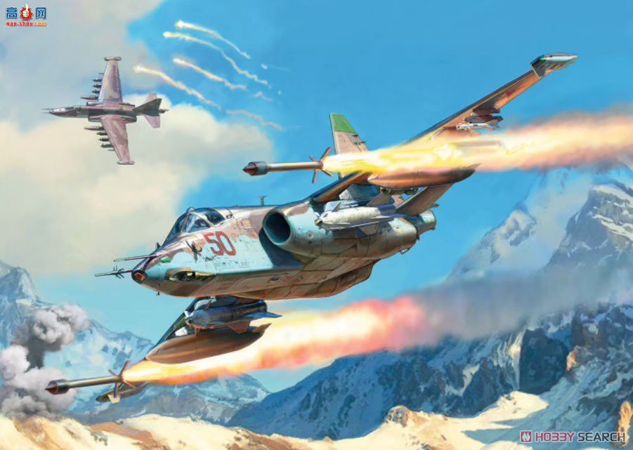  ս 4807 Su-25