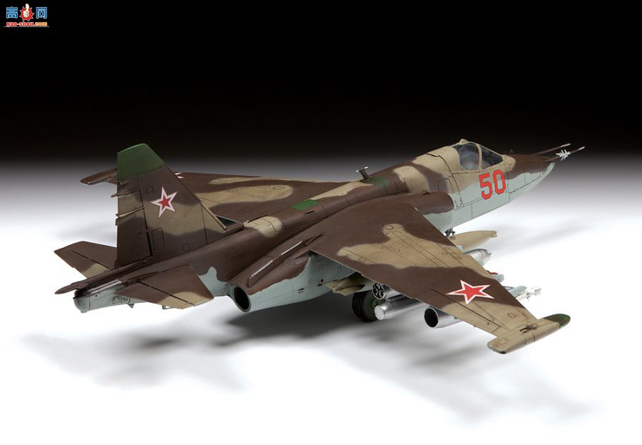  ս 4807 Su-25