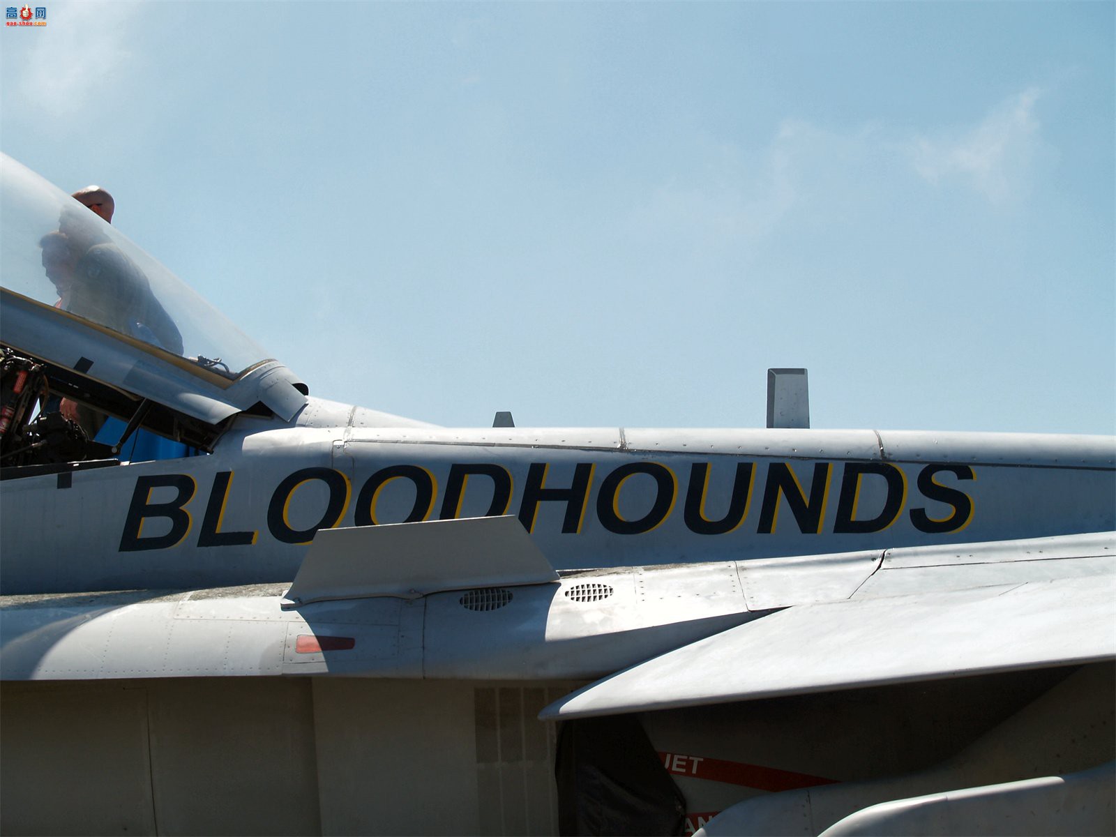  F/A-18B (163115)Ʒս