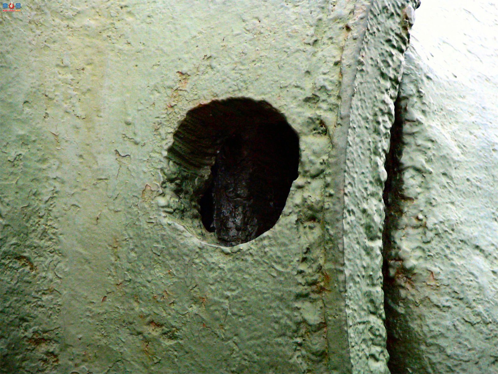  IS-3 ̹