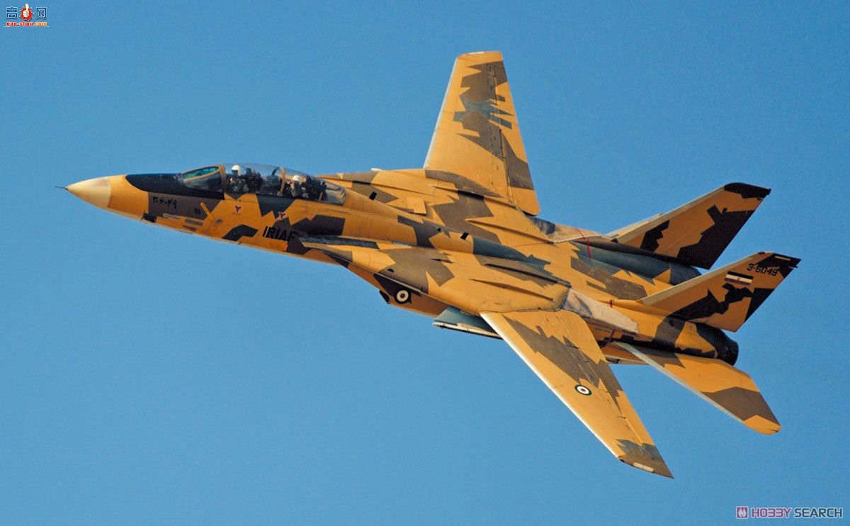 ȴ ս 02242 F-14AèʿվɳĮƻ