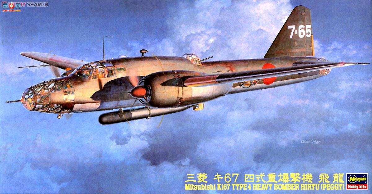 ȴ 51219 CP19  Ki-67 4ͺը