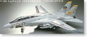 ȴ(Hasegawa) 1/48 ɻģͷͼǩȫ