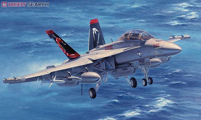 ȴ ս 07314 EA-18G `VAQ-132 Ы`