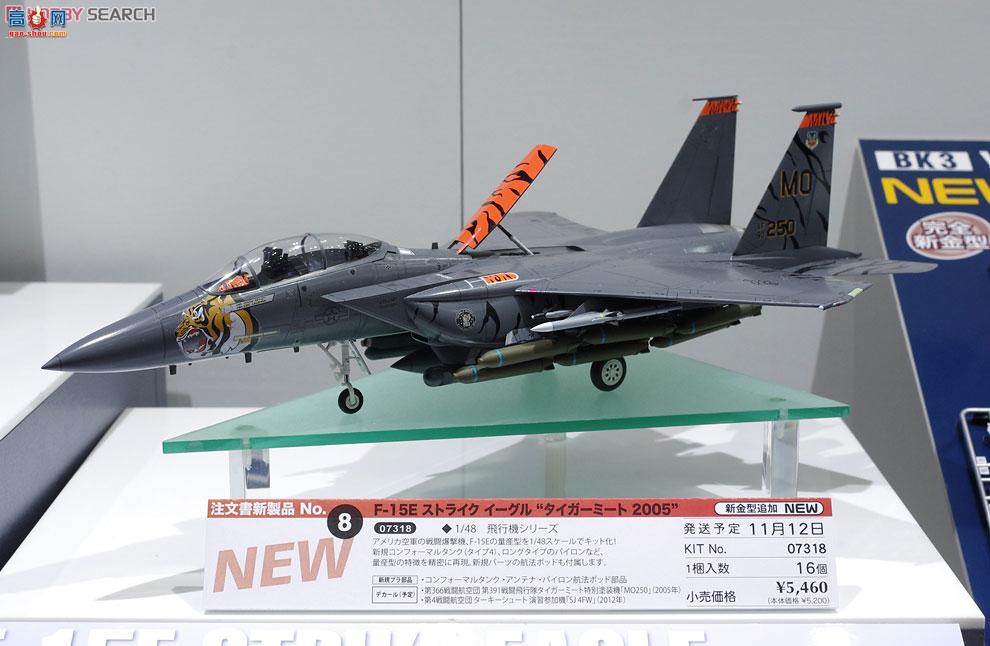 ȴ ս 07318 F-15E ӥ 2005