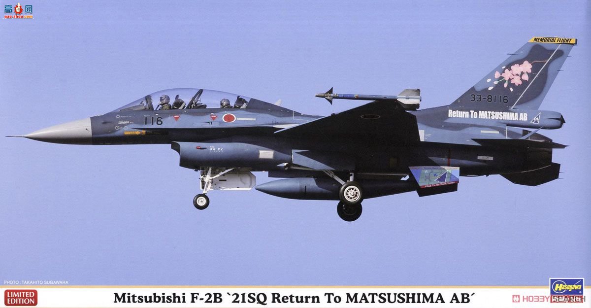 ȴ ս 07439 F-2B'21SQɵػع