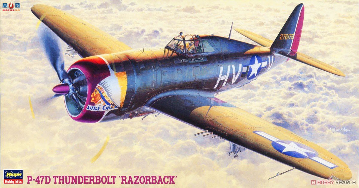 ȴ ս 09157 JT57 P-47D׵ Ƥ
