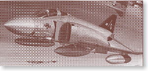 ȴ(Hasegawa) 1/48 ɻģͷͼǩȫ