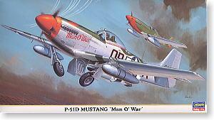 ȴ(Hasegawa) 1/48 ɻģͷͼǩȫ