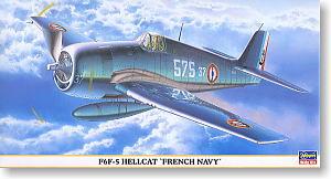 ȴ(Hasegawa) 1/48 ɻģͷͼǩȫ