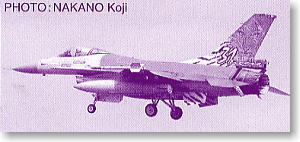 ȴ(Hasegawa) 1/48 ɻģͷͼǩȫ