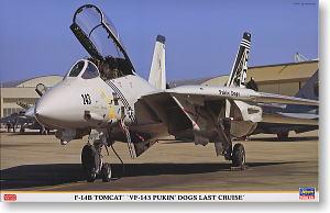 ȴ ս 09697 F-14B è VF-143 ʥ˵ĹһѲ