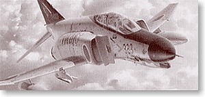 ���ȴ�(Hasegawa) 1/48 �ɻ�ģ�ͷ��ͼǩ��ȫ���ϣ�
