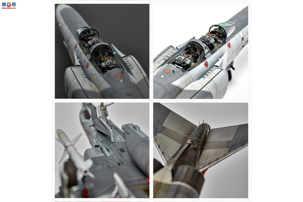 MENGһװھ  F-4G AVIATION