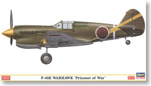ȴ ս SP304 P-40E սӥձɻķɻ
