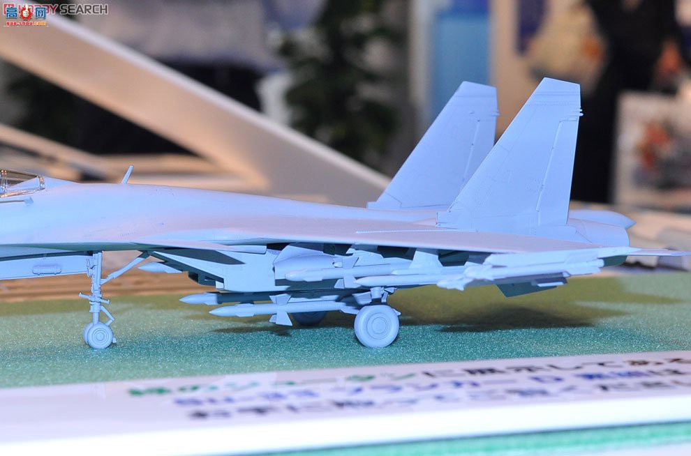 ȴ ս 01565 E35 Su-33D