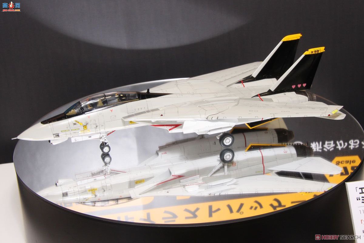 ���ȴ� ս���� 64755 ��ս��88��F-14A��è`��������`