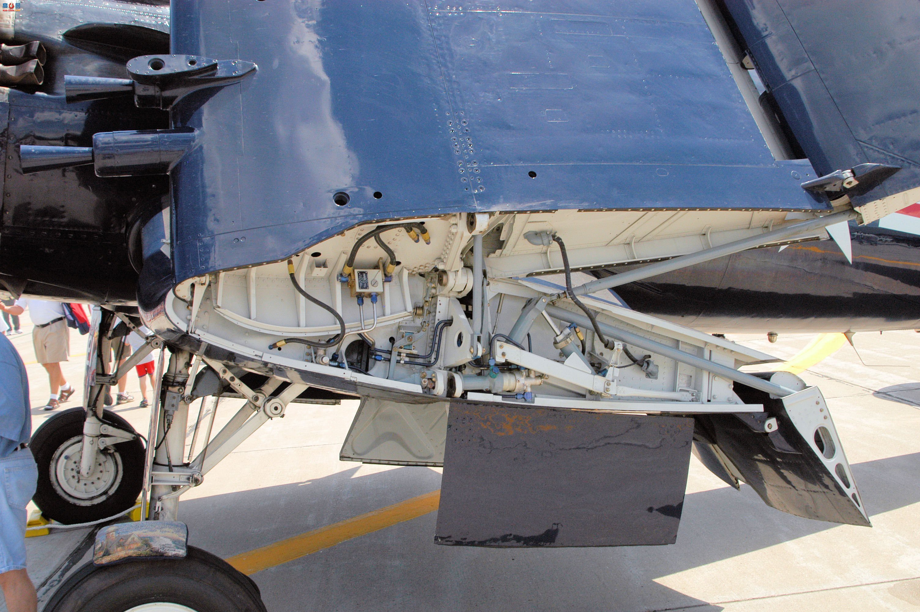  F4U-5N 