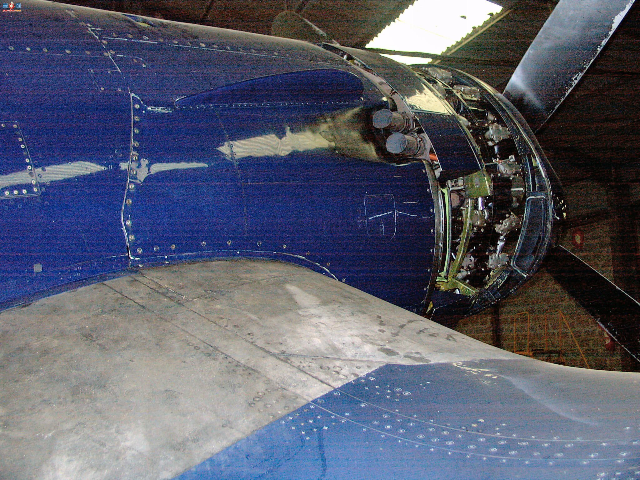  F4U-5NL 