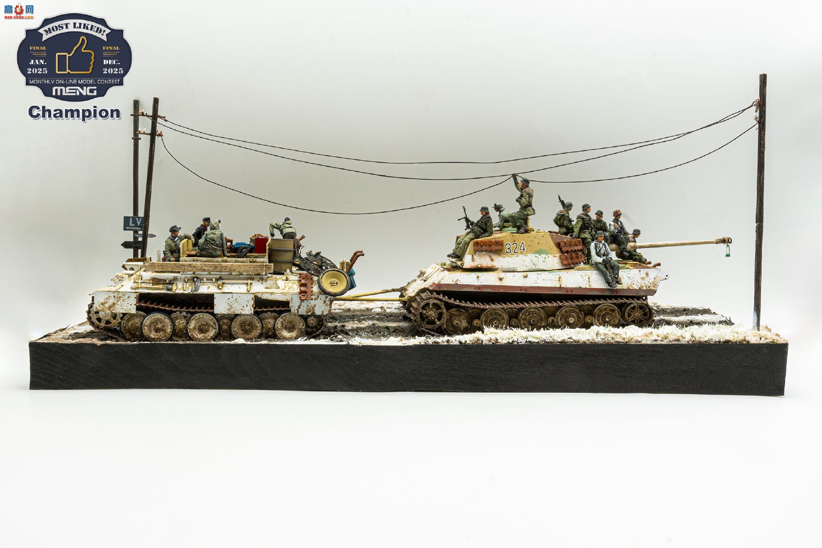 MENGĳ龰ھ King Tiger &amp; BergePanther